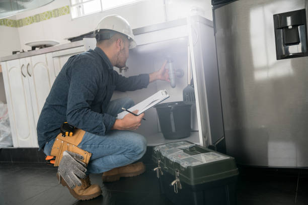Best Shower Repair Services  in Bridgeport, IL